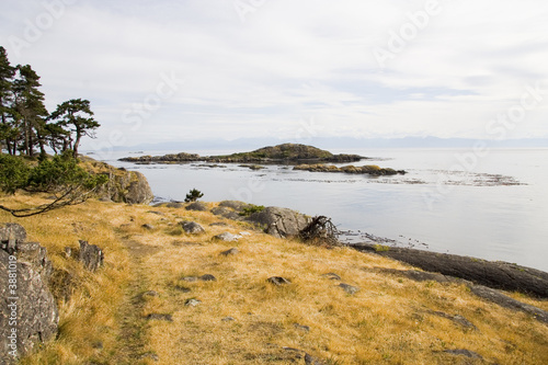 Lopez Island Landscape