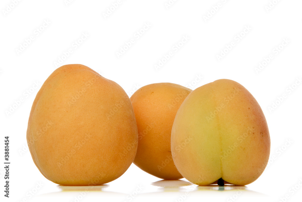 apricot apricot
