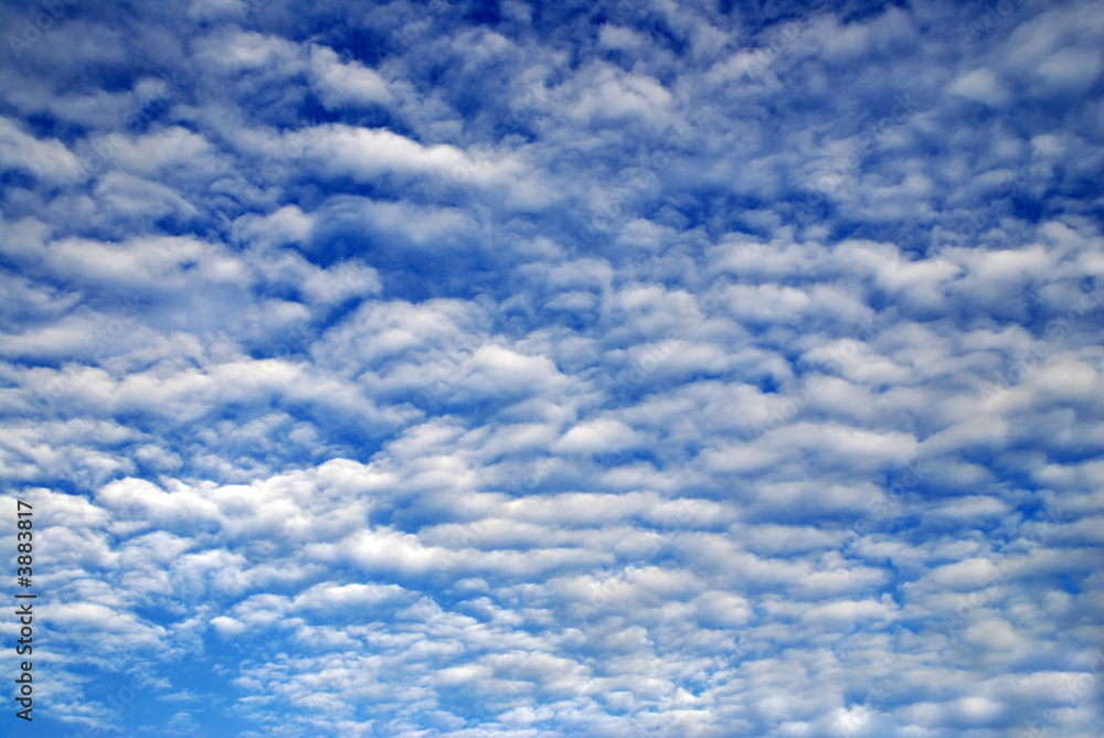 Fototapeta premium Cloudy Sky