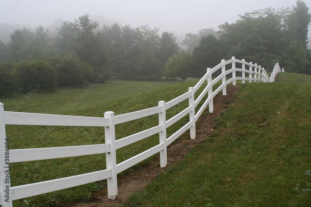 Horse Fence