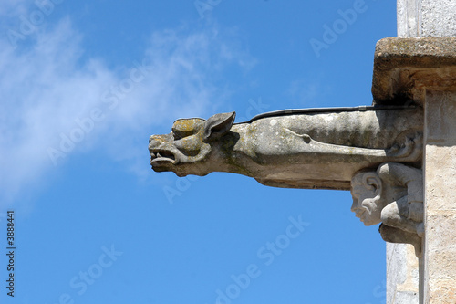 Konstfotografi gargouille