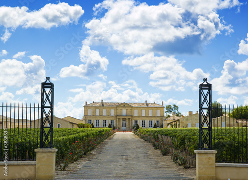 Canvas Print Vineyard and winery near bordeaux