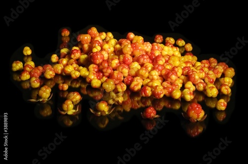 cloudberry on the black background