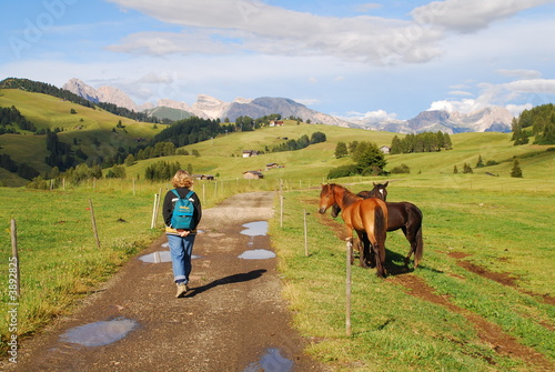 seiser alm4