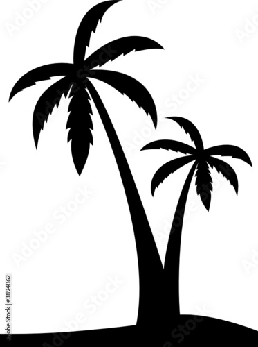 Palm silhouette #3894862
