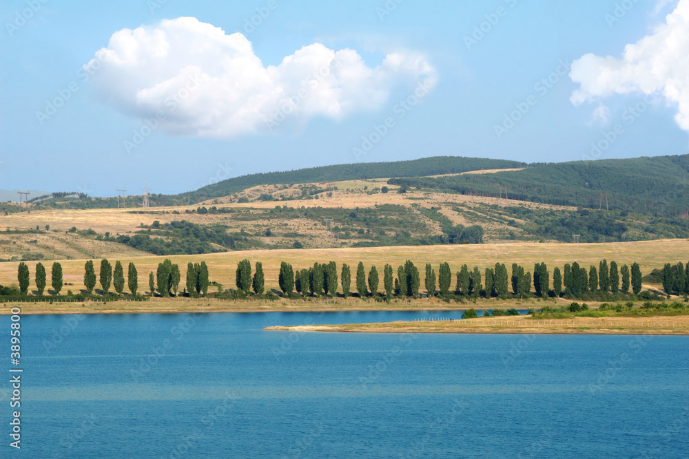 summer landscape with lake, many trees and fields