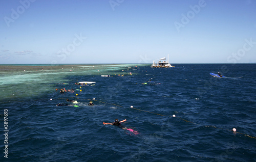 snorkeling at the great barrier reef