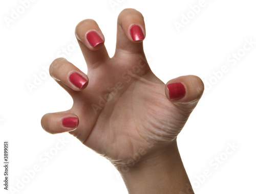 The hand symbol isolated on white background