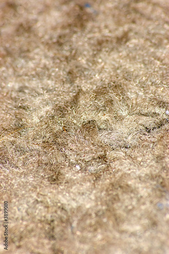 Carpet Textures 1