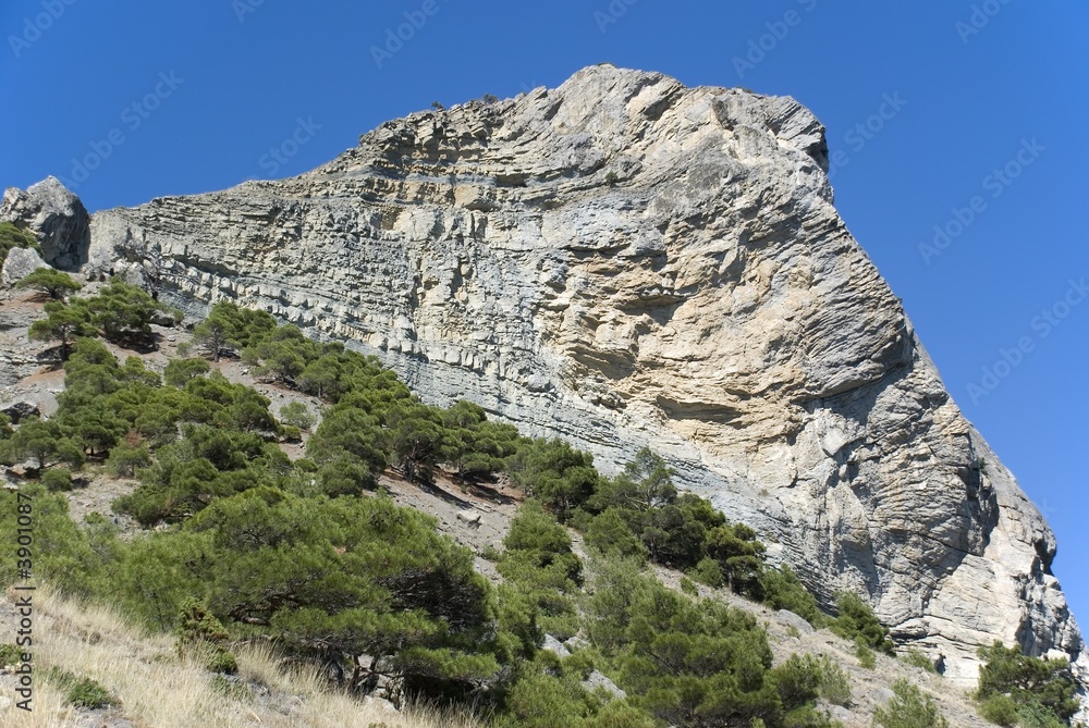 Mountain. An acting rock with vegetation in the foreground