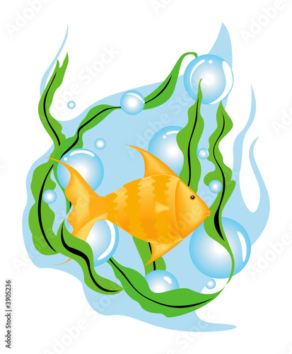A Fish underwater with Clip...