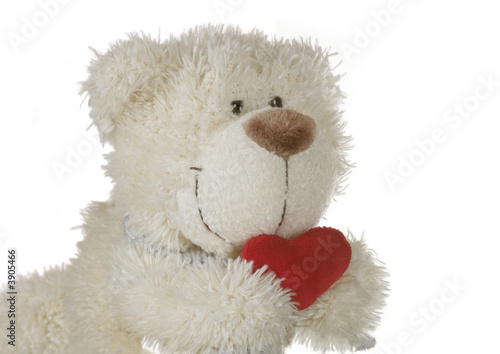  teddy