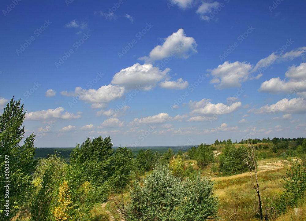 Green forest under the blue sky with clouds