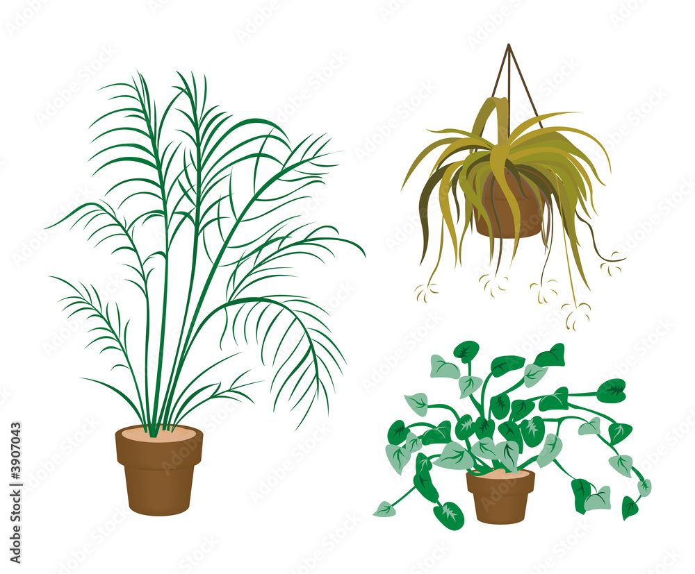 Decorating Plants Icons with Clipping Paths