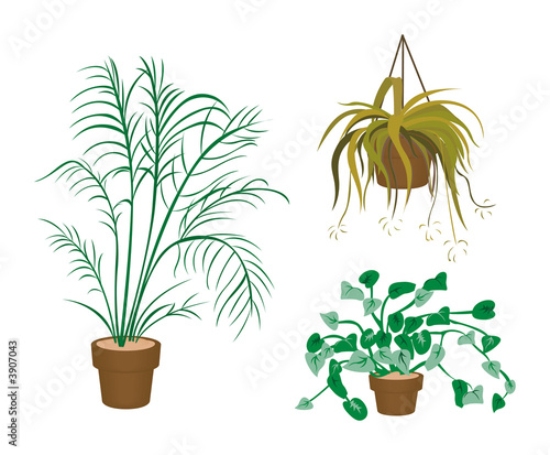 Decorating Plants Icons wit...