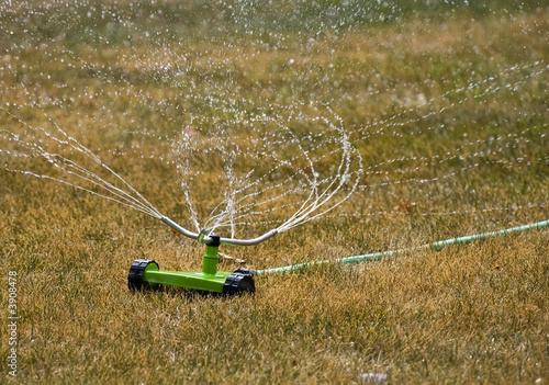 Water sprinkler