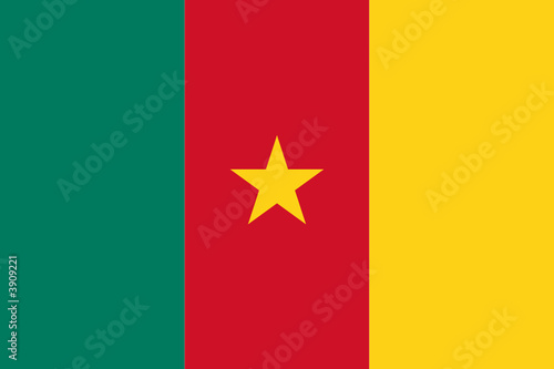 cameroun flag photo