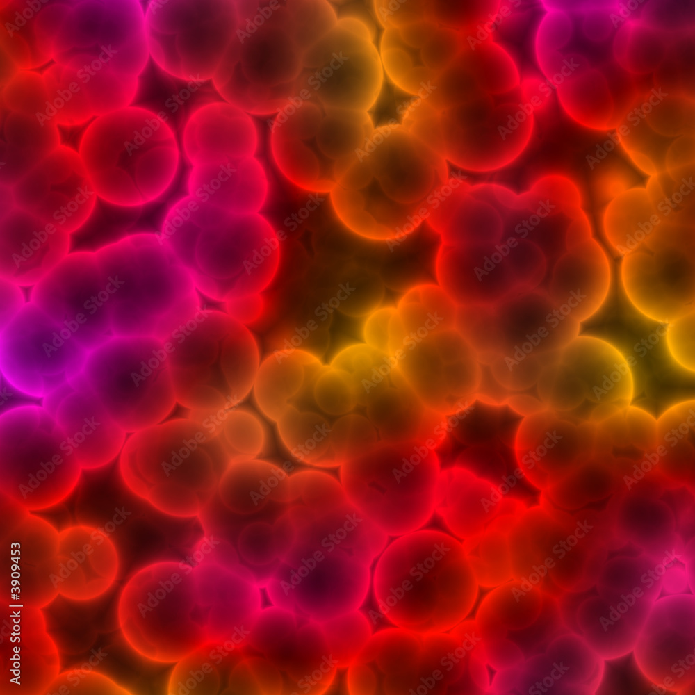 bacterial culture under microscope bacterial culture under microscope