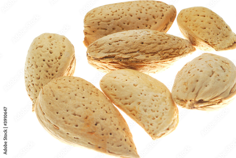 mandels mandels