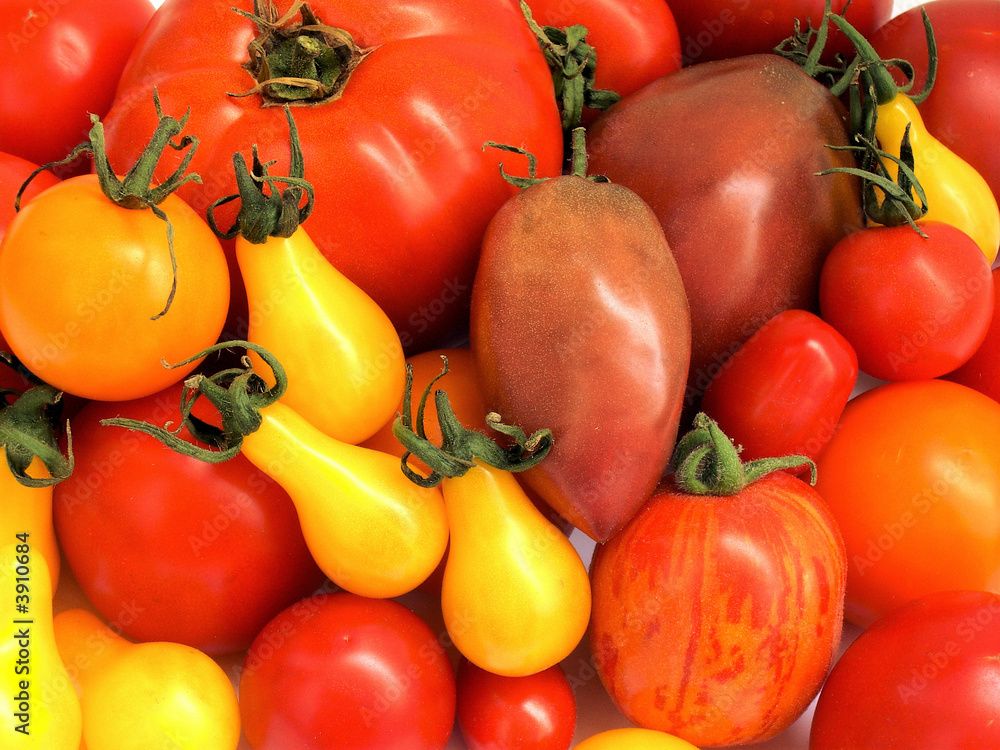 Tomate 08 Tomate 08