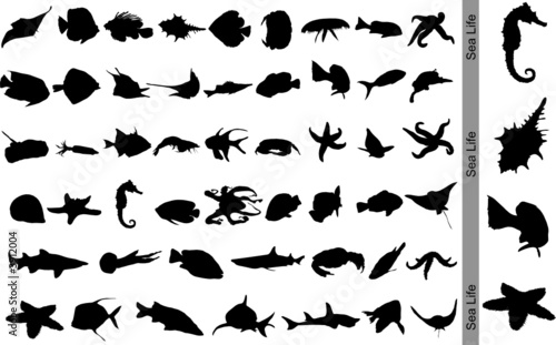 Sea Life. Vector.