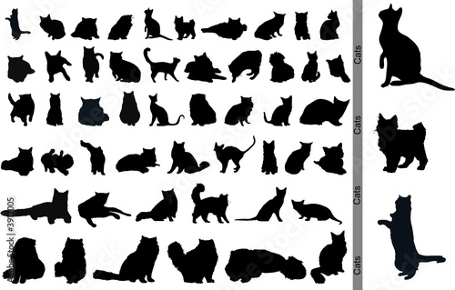 Cats. Vector.