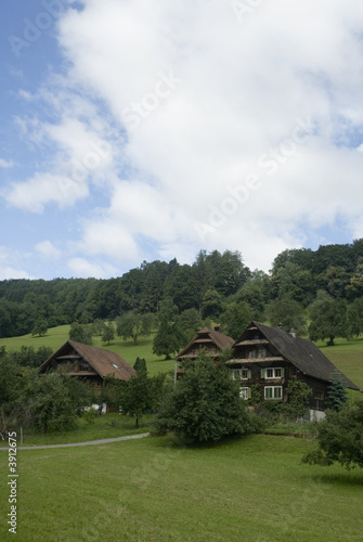 Summertime in Switzerland on a hill with typical houses