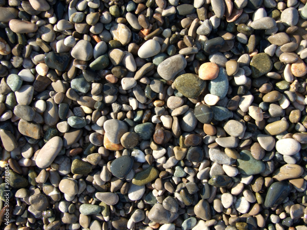 wet pebbles on the beach of the Black Sea2 wet pebbles on the beach of the Black Sea2