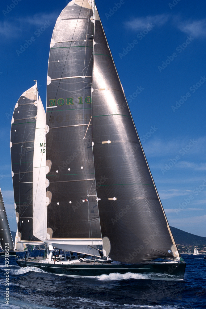 Naklejka premium Les Voiles de Saint Tropez