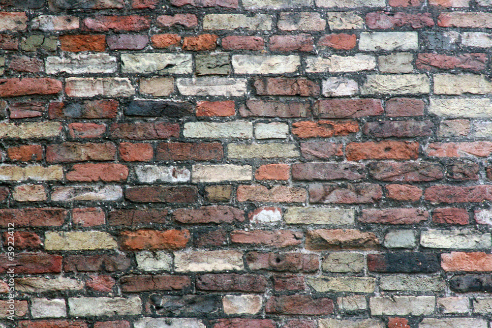 Obraz premium Ziegelmauer 5