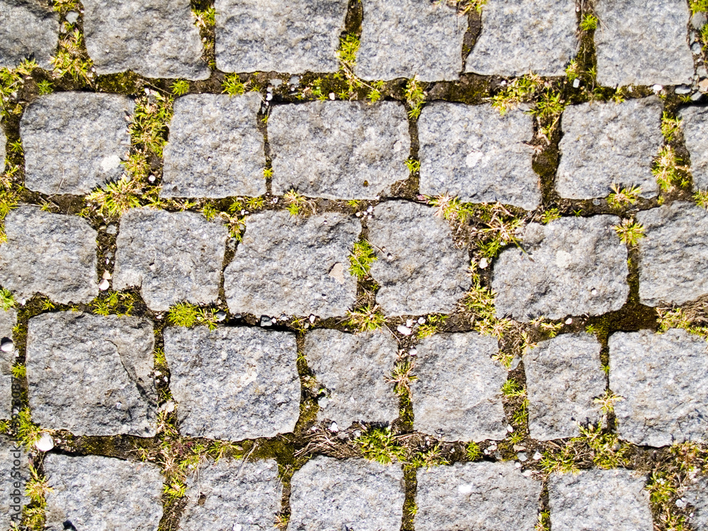 Obraz premium OLYMPUS DIGITAL CAMERA