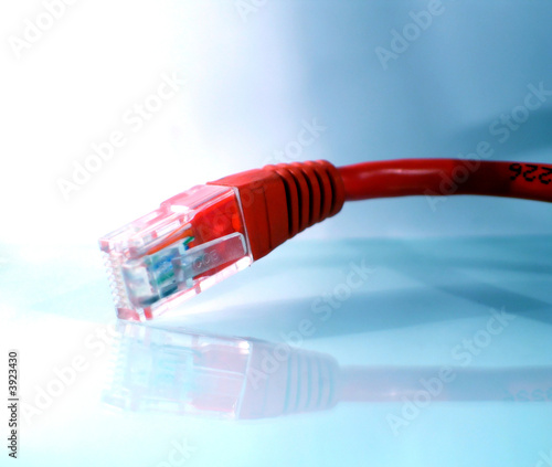 Cable connection réseau