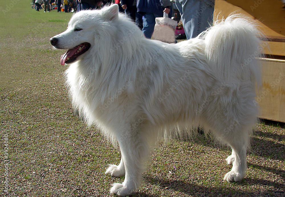 Großspitz Großspitz