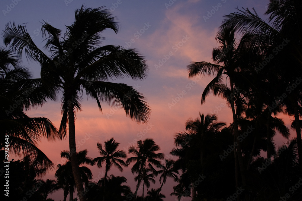 Visions of Paradise Visions of Paradise