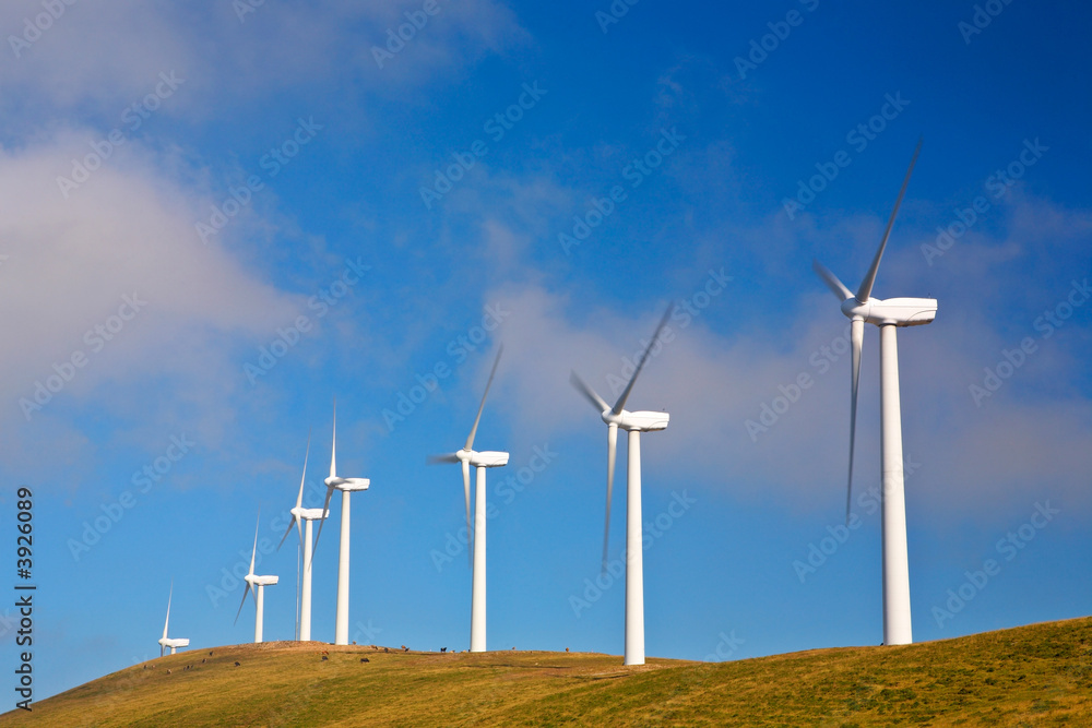 Wind turbines farm on sunset in summer Wind turbines farm on sunset in summer