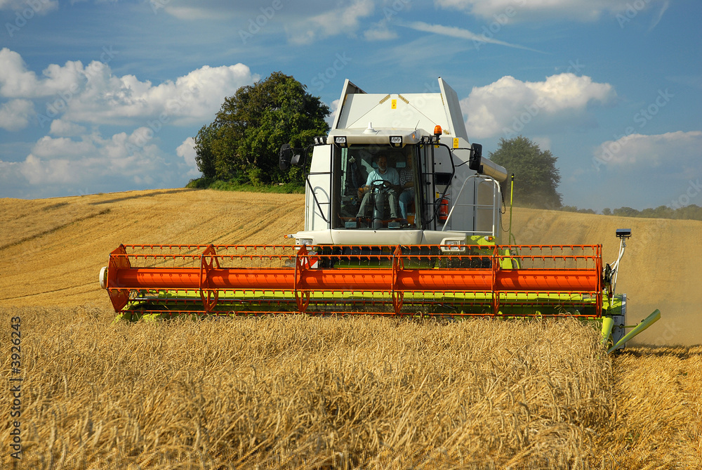 Fototapeta premium Mähdrescher im Einsatz