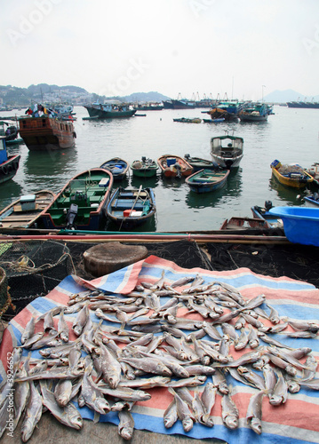 Fish harbour on an island near Hong Kong photo