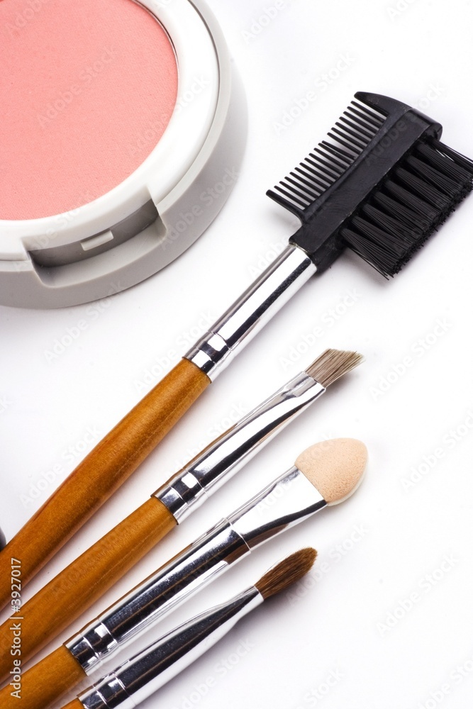 Cosmetic brushes with face powder in