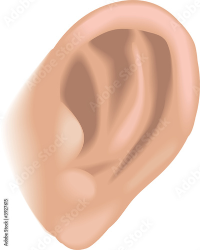 Body parts ear