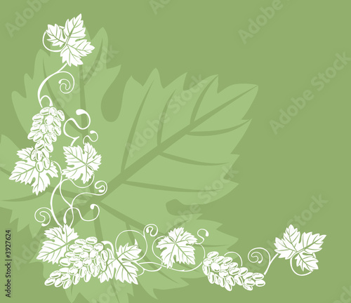 grape vine design element