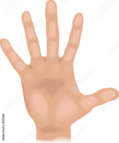 Body parts hand