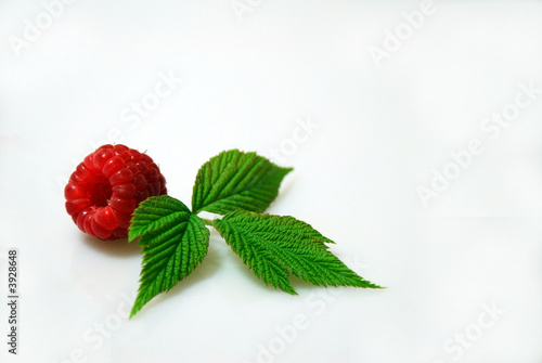 Raspberries