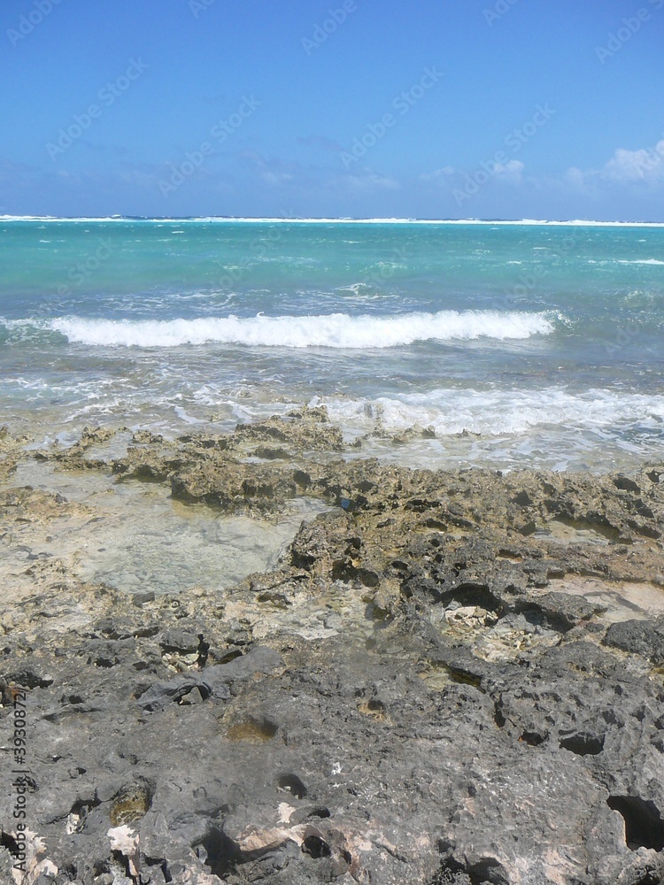 Cayman Waves Cayman Waves