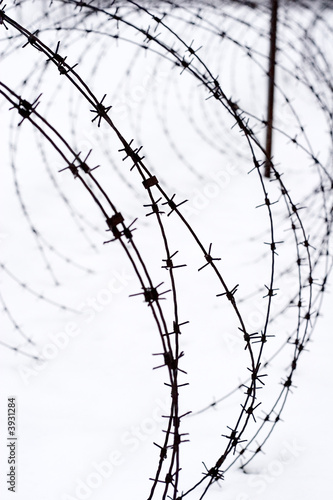 strands of sharp barbed wire fence in the snow
