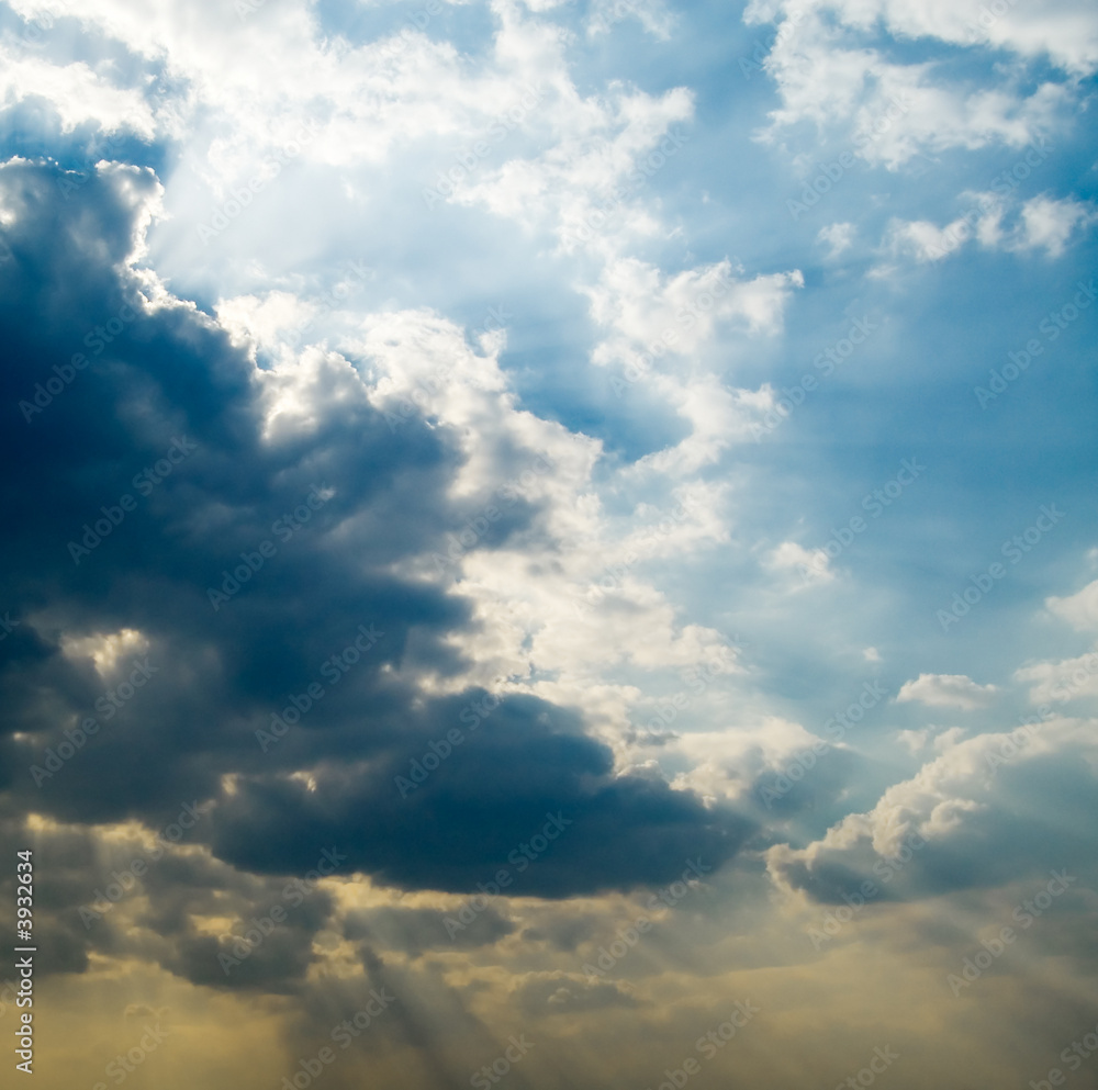 Fototapeta premium The storm wind.