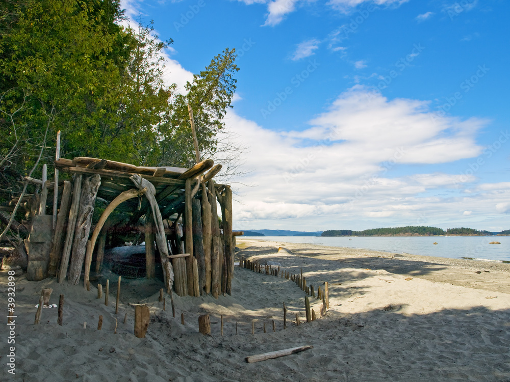 Shed built out of driftwood on a beach