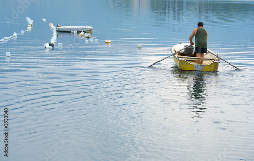 Man is rowing to the mussels farm spot to harvest mussels