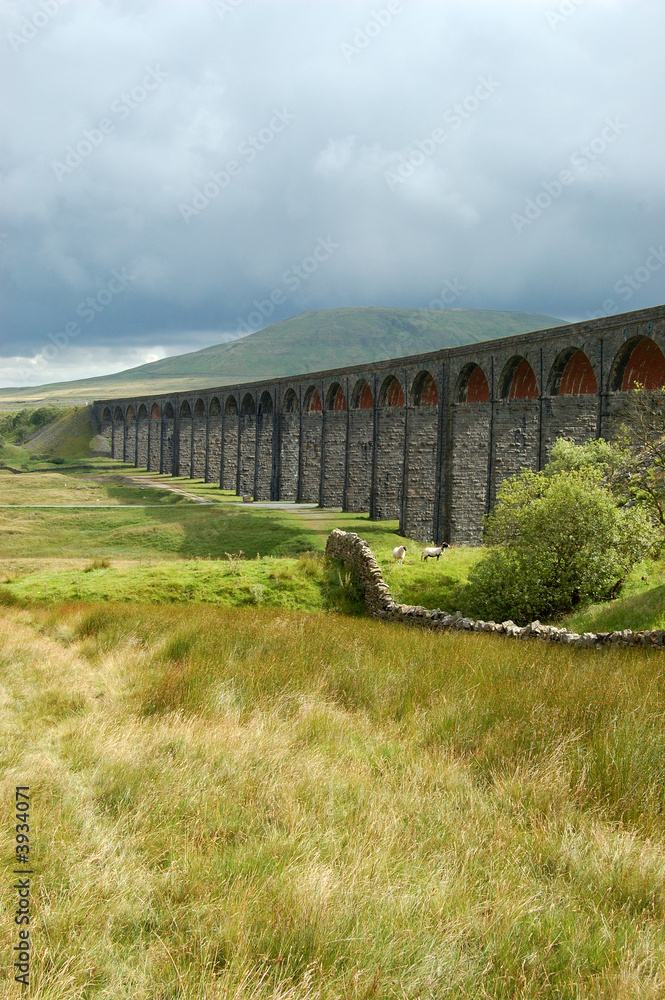 Ribblehead Viaduct in the Yorkshire Dales Ribblehead Viaduct in the Yorkshire Dales