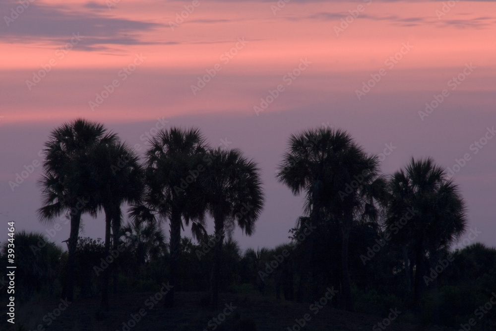 Florida Sky at Twilight