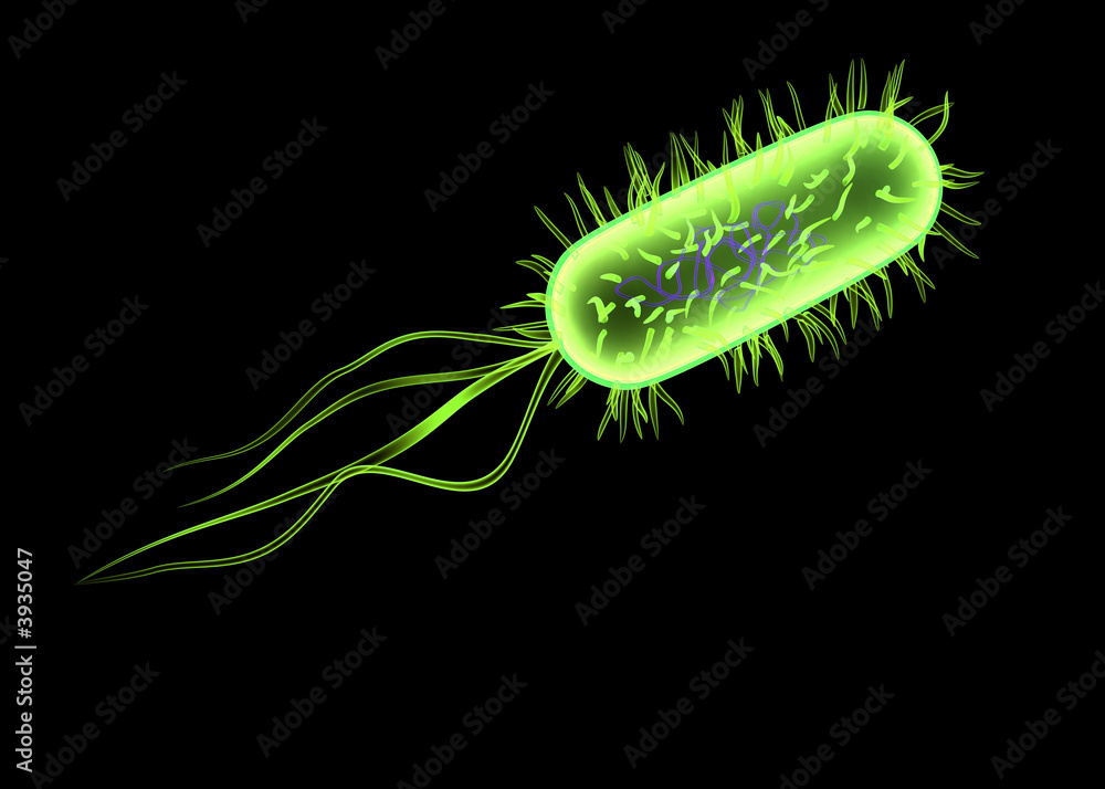 Fototapeta premium isolierte bakterie